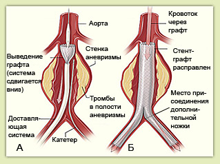 ������������������ �����