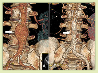 ������������������ �����