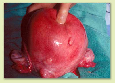 ��������� ����� � �����������