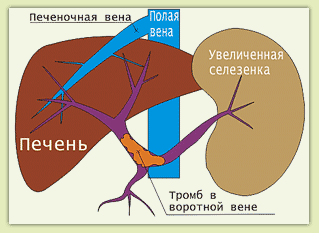 ������������ ���������� ����