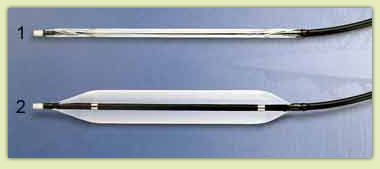 ������-������� � ������ (1) � ������� (2) ���������