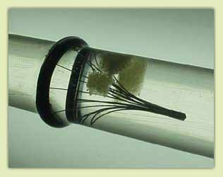 ������������� �������� �������